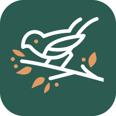 forest robin logo